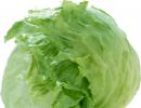 Istoria culturii de salată verde, salată verde denumire latină