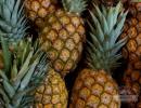 Kuidas valida ananassi Kui ananass on pehme, on see riknenud