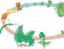 A páfrányfejlődés életciklusa Az EGE meghatározza a páfrányfejlődés szakaszainak sorrendjét