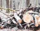 Τι είναι ένας διαχωριστής ξύλου ή επιχείρηση ξύλου