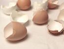 Egg shell as a source of calcium